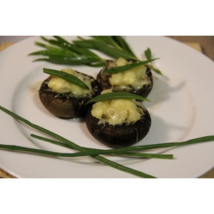 �����, ������������� �������� ����������