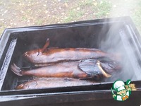 ����� ��� ������� �� �������� ���� � ��������� �����������