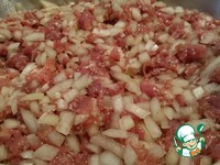 ����� �����������