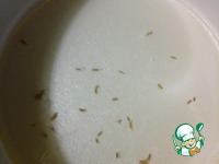 ������������ �����������