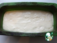 "���������" ������� � �������� �����������