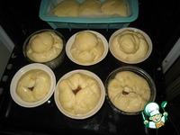 ������ � ������ "���������" �����������