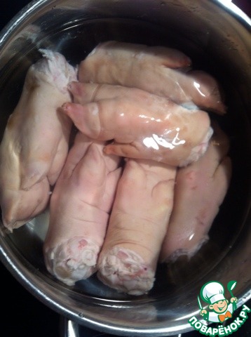 Можож - маринованные свиные ножки, пошаговый рецепт на ккал, фото, ингредиенты - MERI