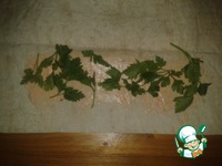 ������ ��������� �� ������ �����������