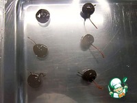 ������� "����� � ��������" �����������