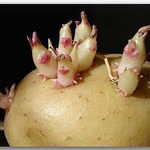 ��������� �������� �� ���������� ��������