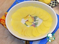 ������ "�������" �����������