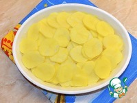 ������ "�������" �����������