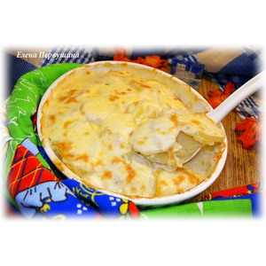 ������ "�������"