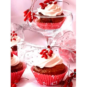 ������������ ���������� �����