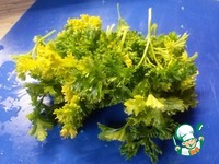 ������ ��� �� ������ �����������