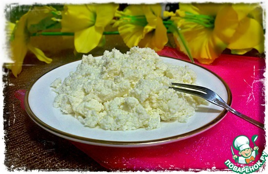 Домашний творог "Проще не бывает" от Виолетты (Violl )