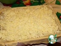 ���� �����������