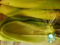 ���� � ������������ ����� � ������ ��������� �����������