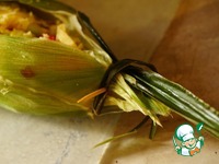 ���� � ������������ ����� � ������ ��������� �����������