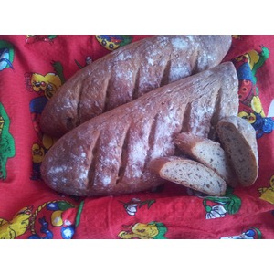 ��������� ����� � ����� � �������� ���������