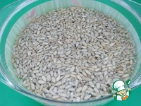 ������ �� �������� � ����� ���������� �����������