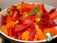 ����� ������������ �����������