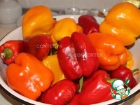 ����� ������������ �����������