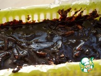 �������-���������� ��������� �����������