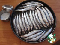 ���������� ����� ��� ����� �����������