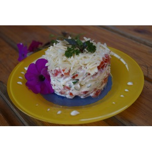 ����� "����������"