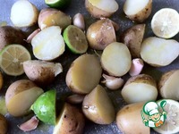 ���������� ��������� � ������������ ������� �����������