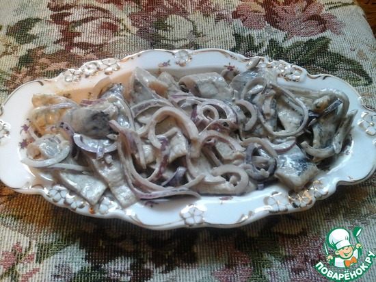 ������� � ����� � ���������-��������� ��������