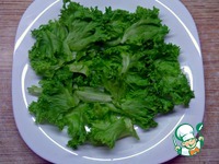 ����� � ������� ������� "���������" �����������