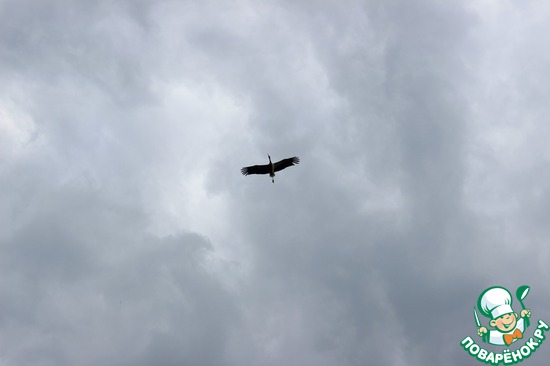 ���� �����