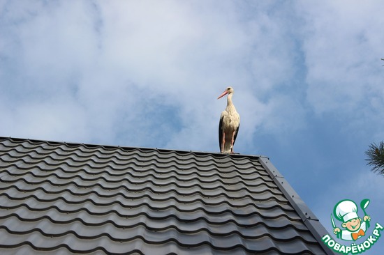 ���� �� �����