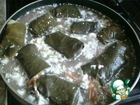 ����� �� ������� ������� �����������