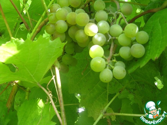 ���������� �����