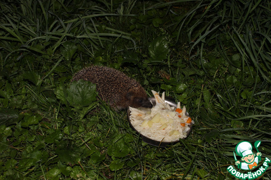 ���� ����� �� ����