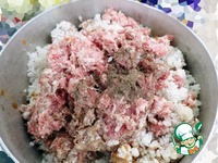 ������������� ����� �����������