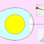 ���������� ����� ���