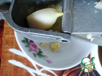 ������ � ���������� �����������