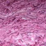 ������ ��� �����. ��� ������������ ����� ��� ����