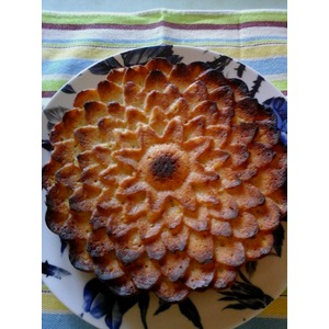 ��������-��������� �����