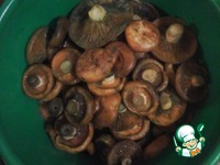 ������ � ����� �����������