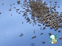 �������������� ������� �����������