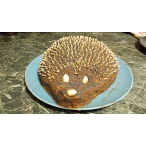 ���� "����" ��� �������