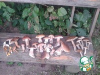 ��� � ������� ������� �����������