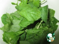 ������� ���� "������ �����" �����������