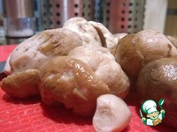 ������������ �����������