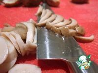 ������������ �����������