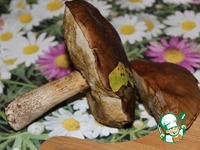 ������� � �����������, ������� � ����� �����������