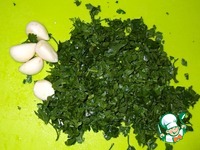 ����� �� ������ �� ���� �����������