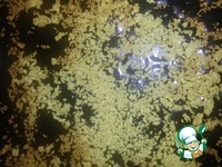 ���� "����������" �����������