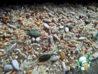 ������������ ������� ���� �����������